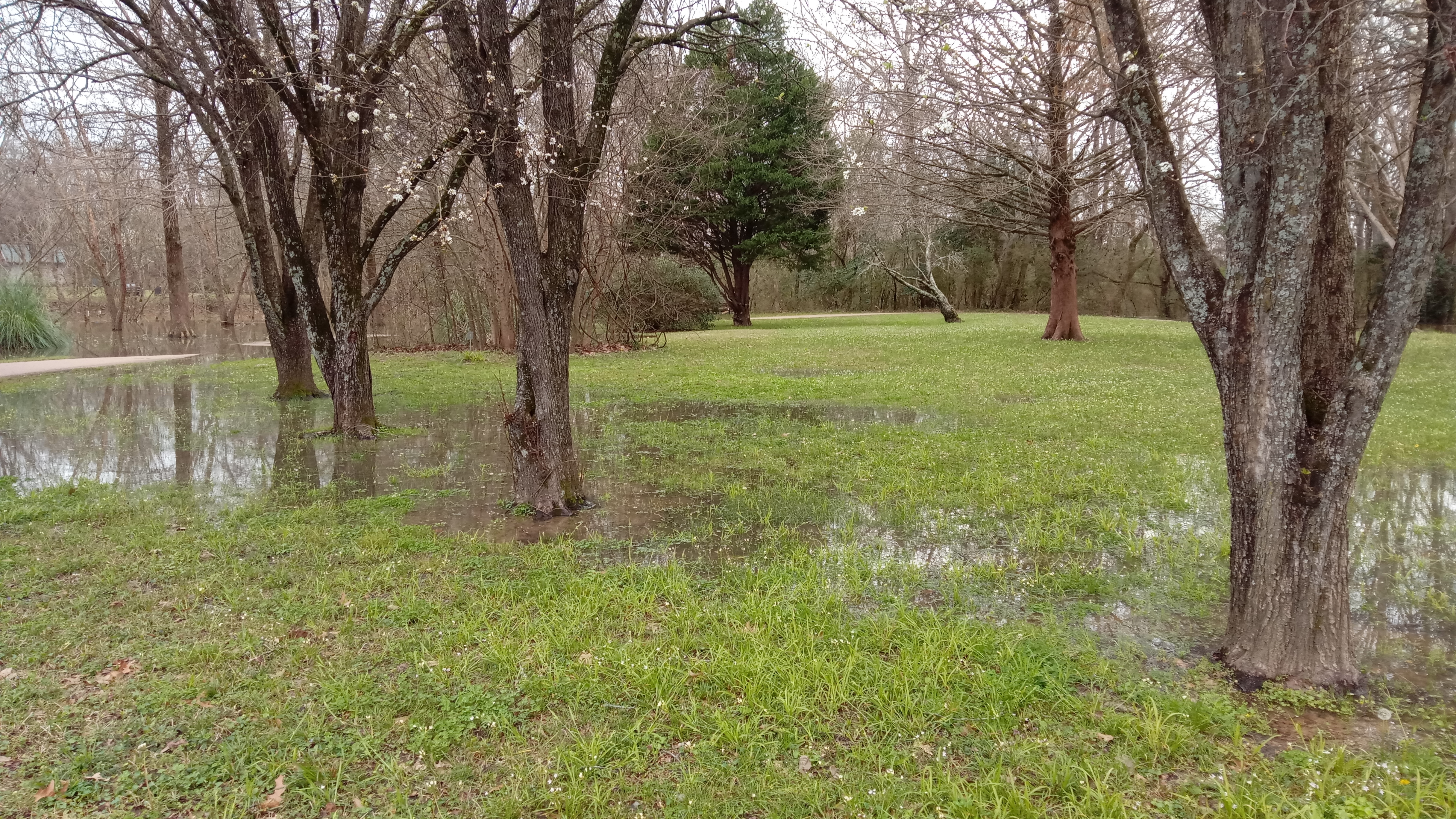 Wolf Tolbert OnlyFans header