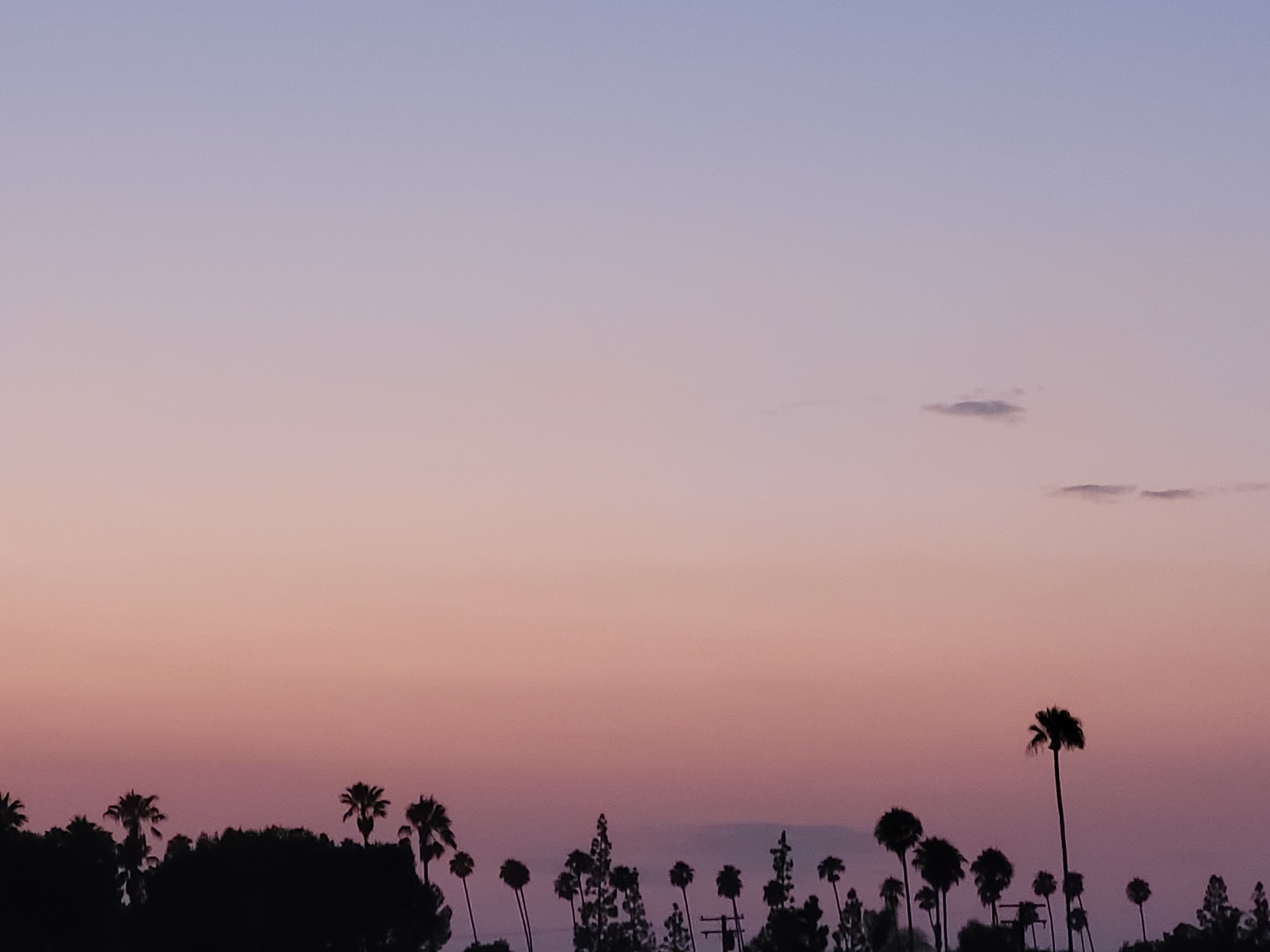 WuBabey OnlyFans header