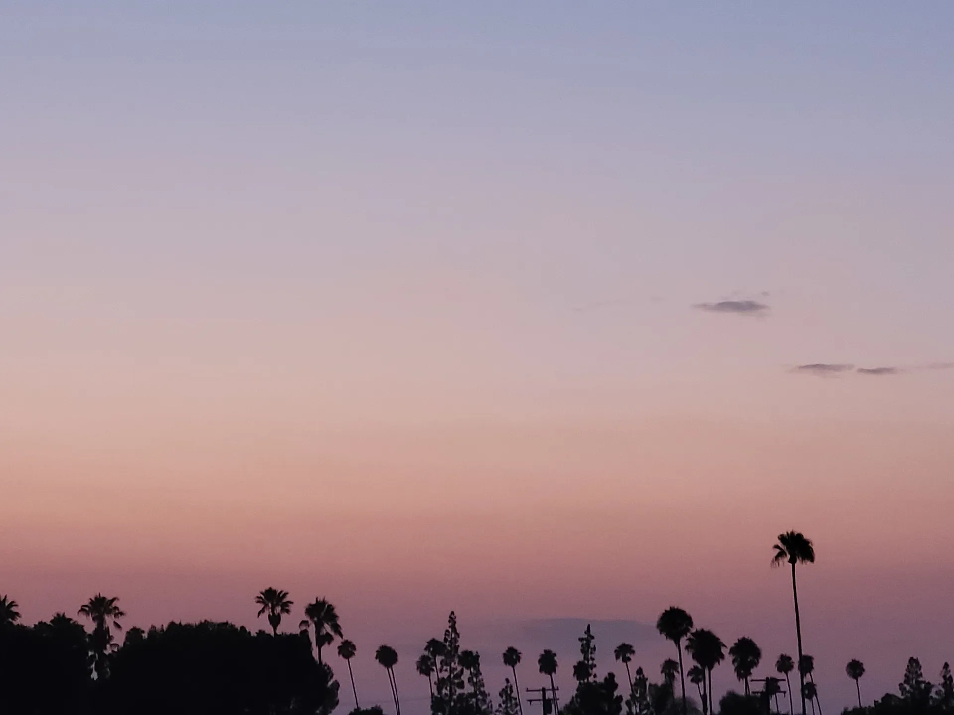 WuBabey OnlyFans header