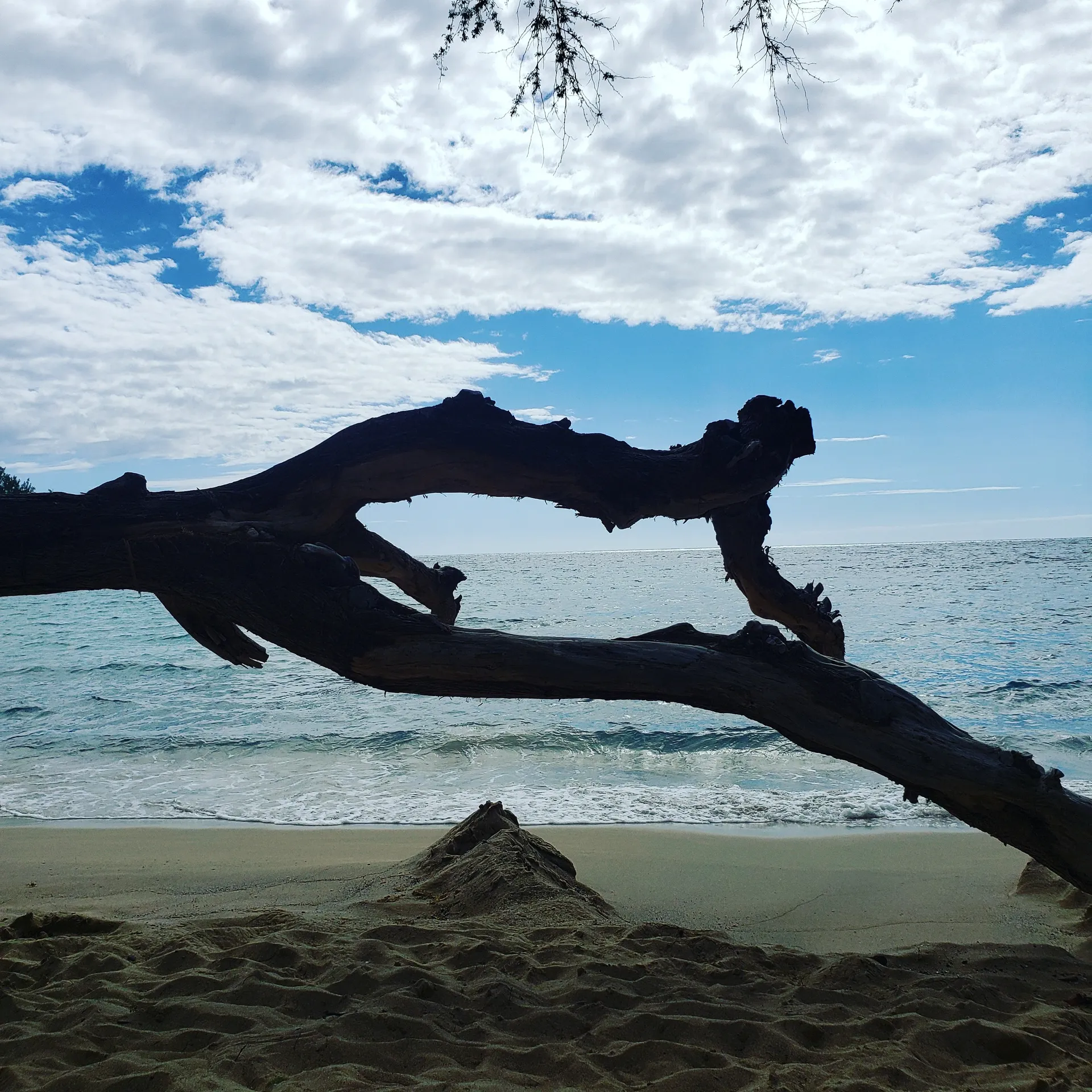 Wubbit OnlyFans header