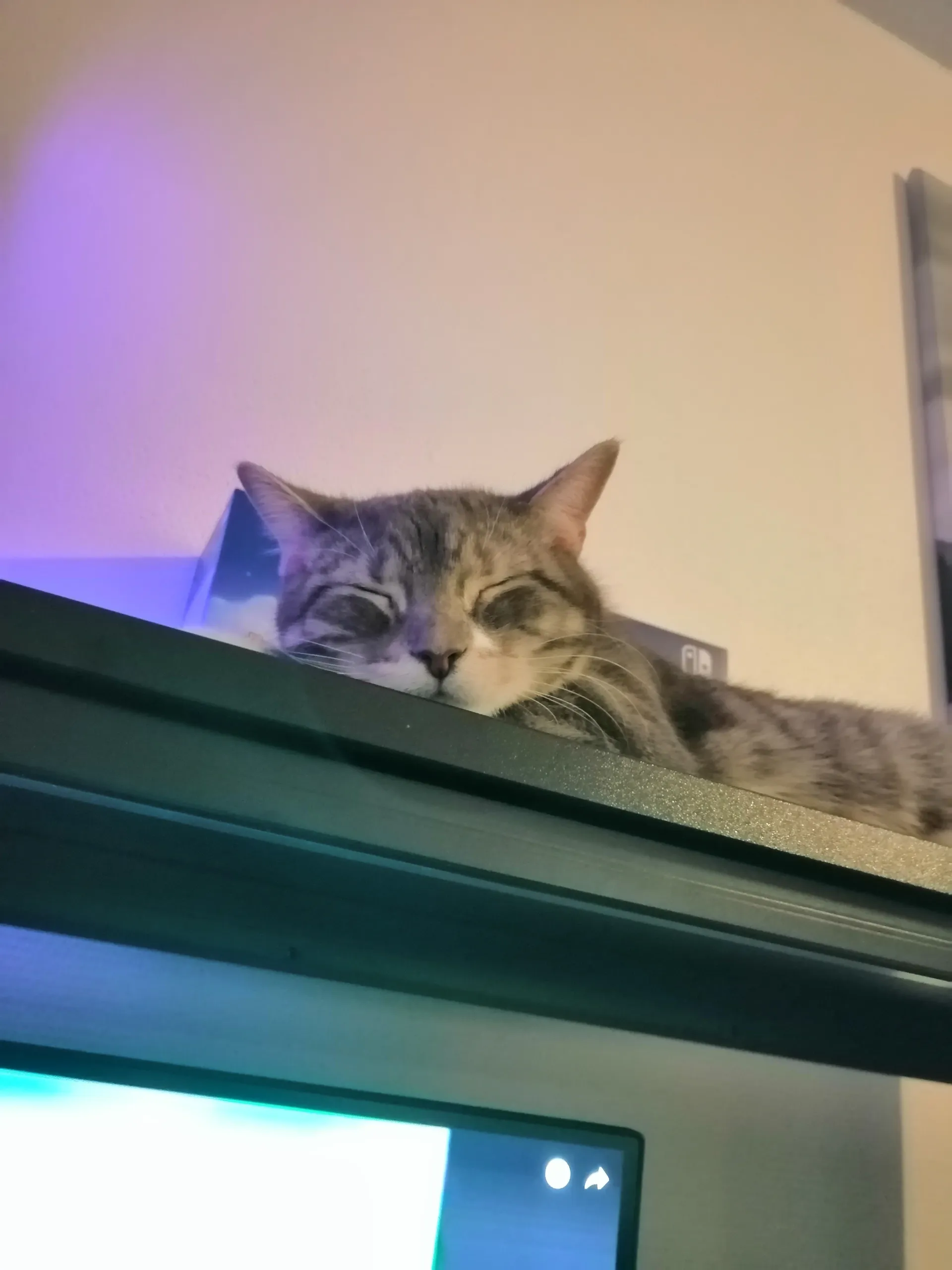 Wuffi OnlyFans header