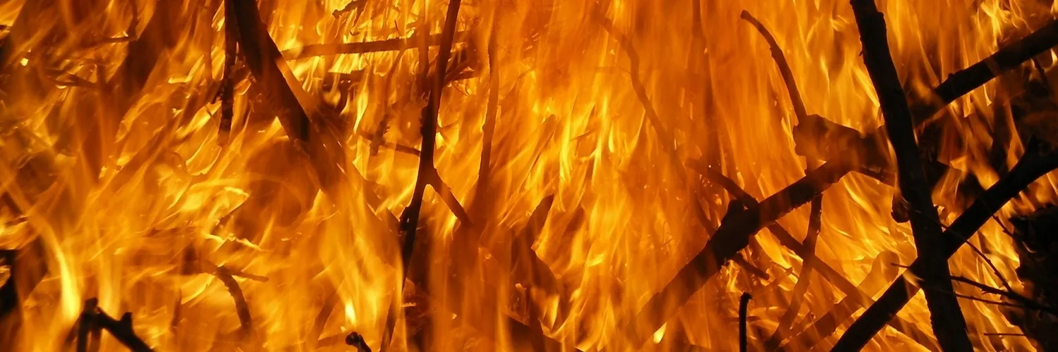 luis OnlyFans header