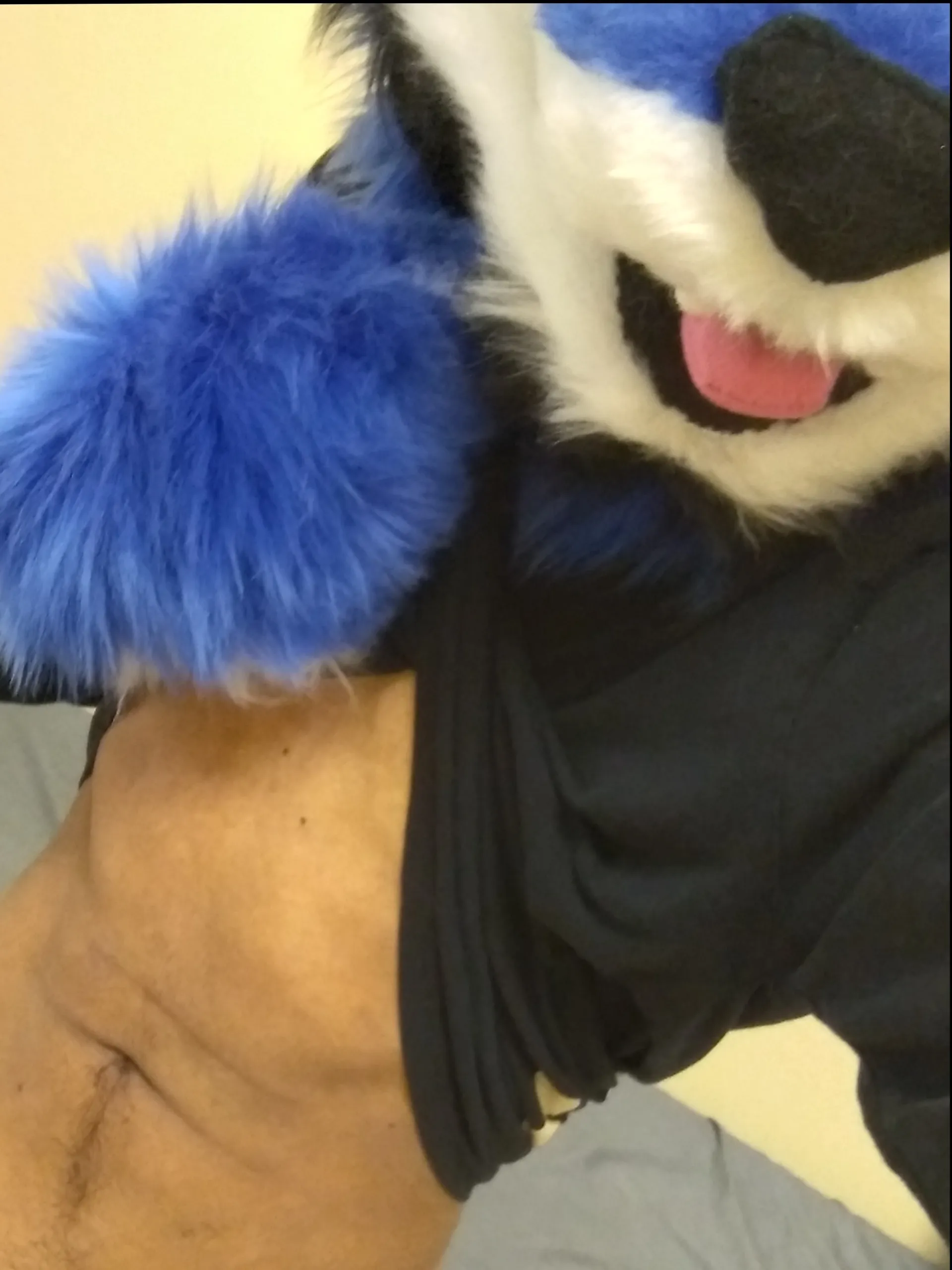 OreohWulf OnlyFans header