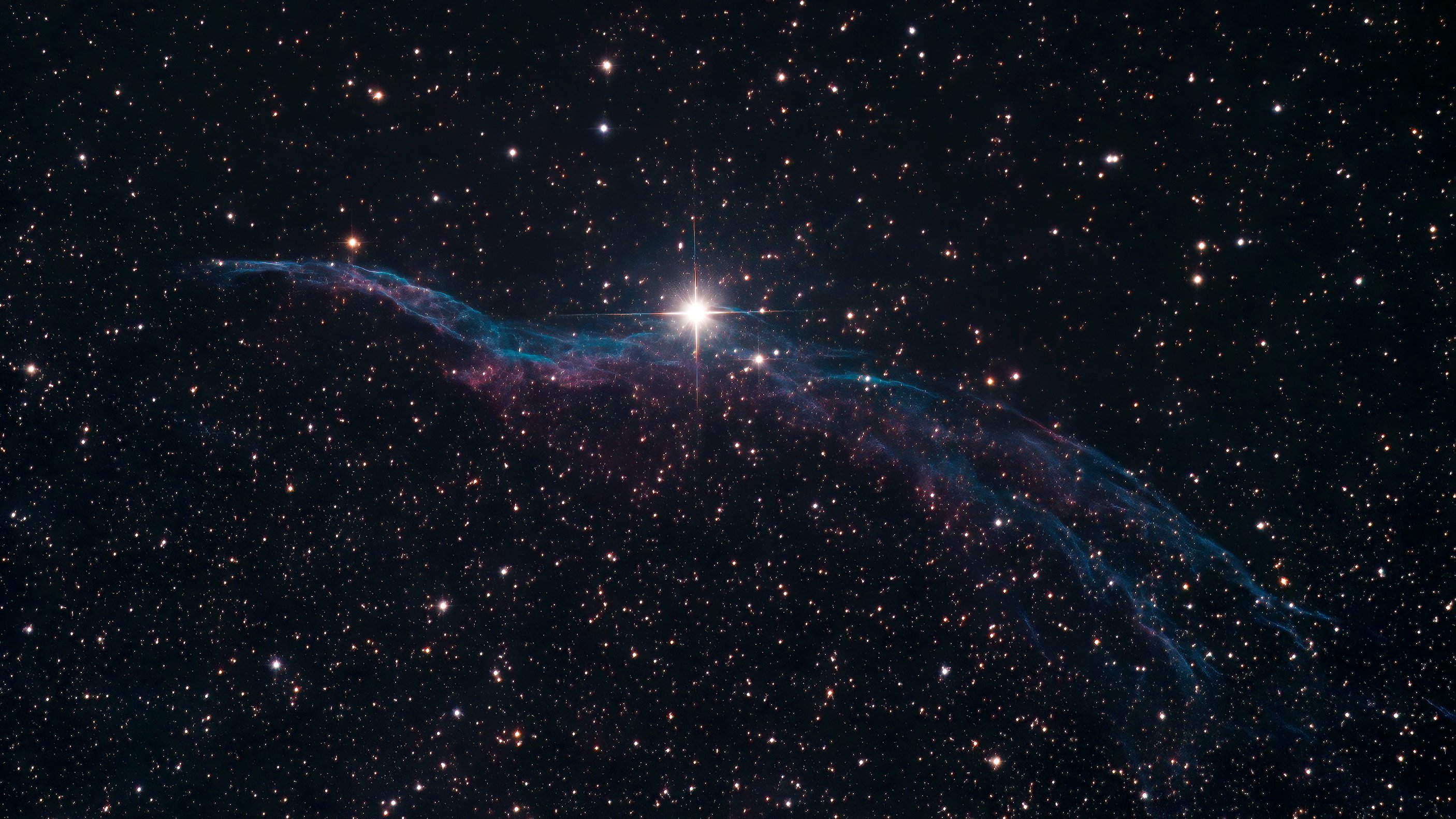 Wulfie Crevier OnlyFans header