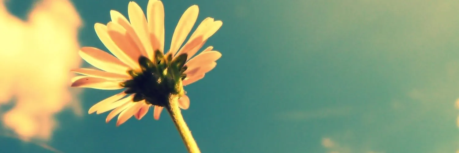 Zackly OnlyFans header