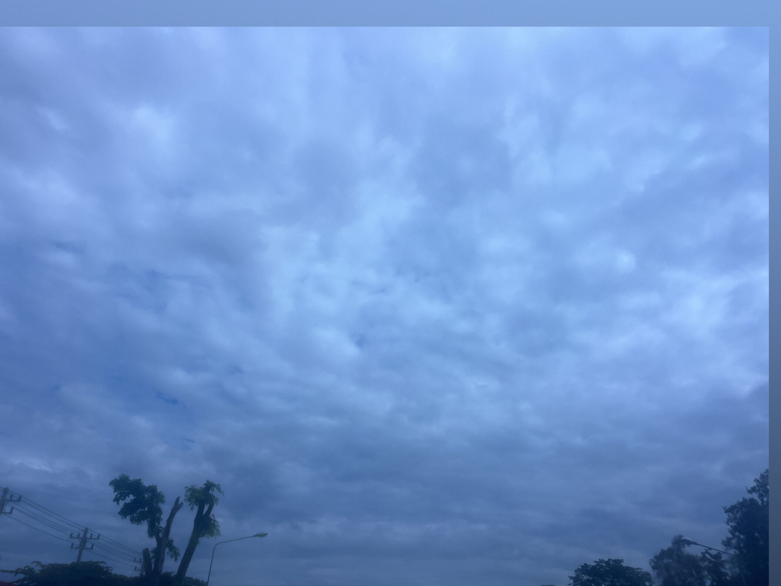 Wwzahia04 OnlyFans header