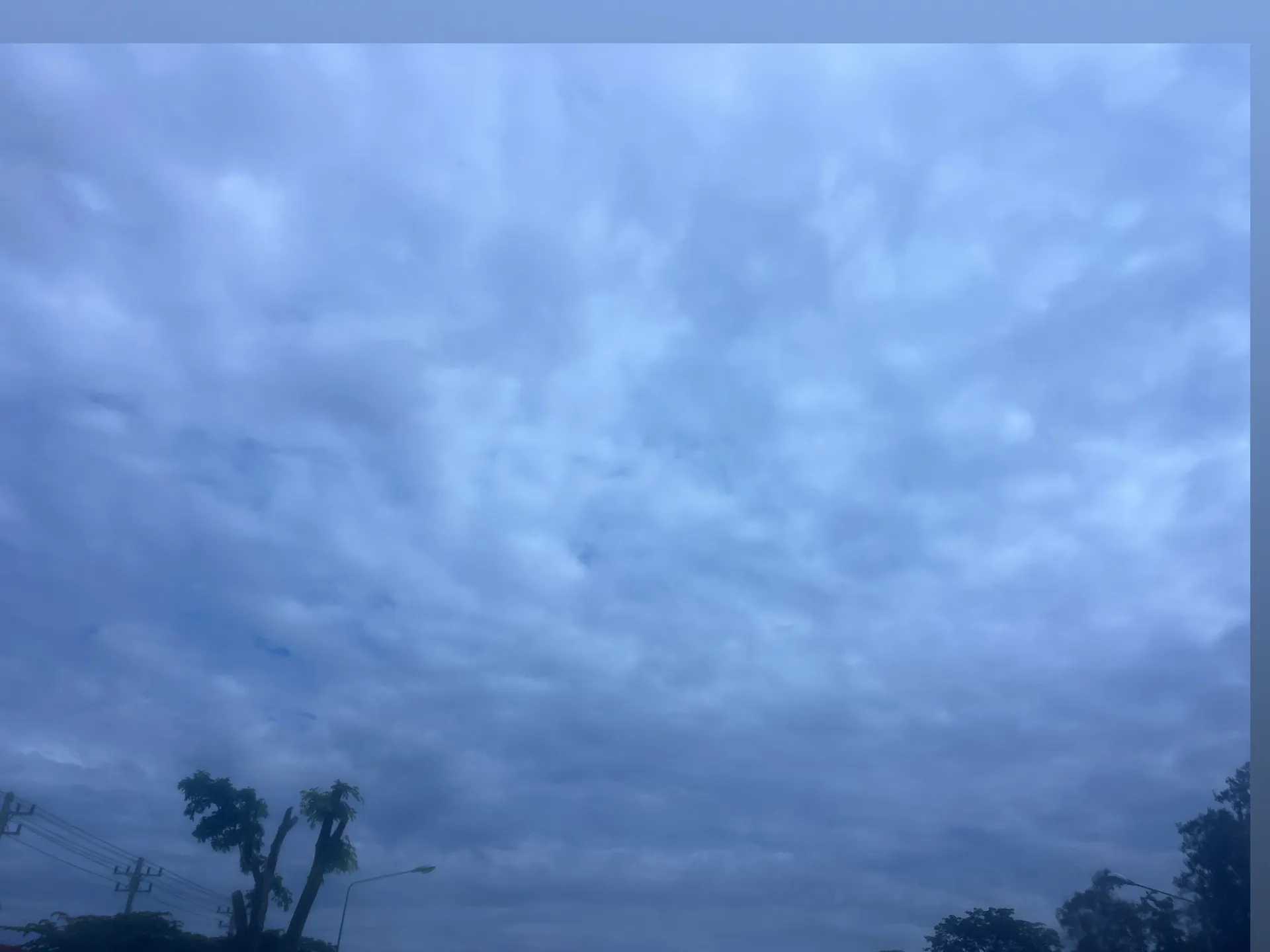 Wwzahia04 OnlyFans header