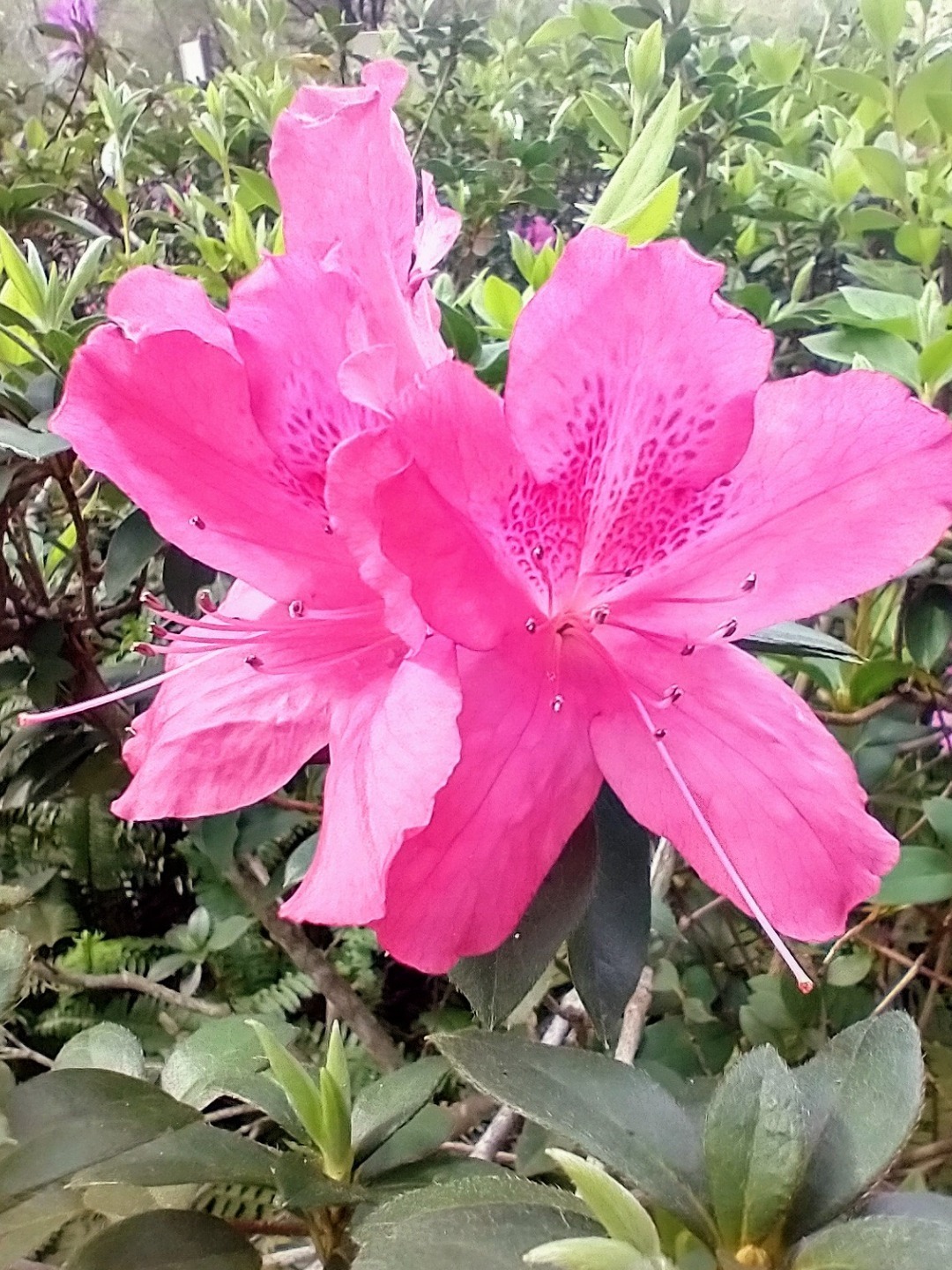 JC_wxBitch OnlyFans header