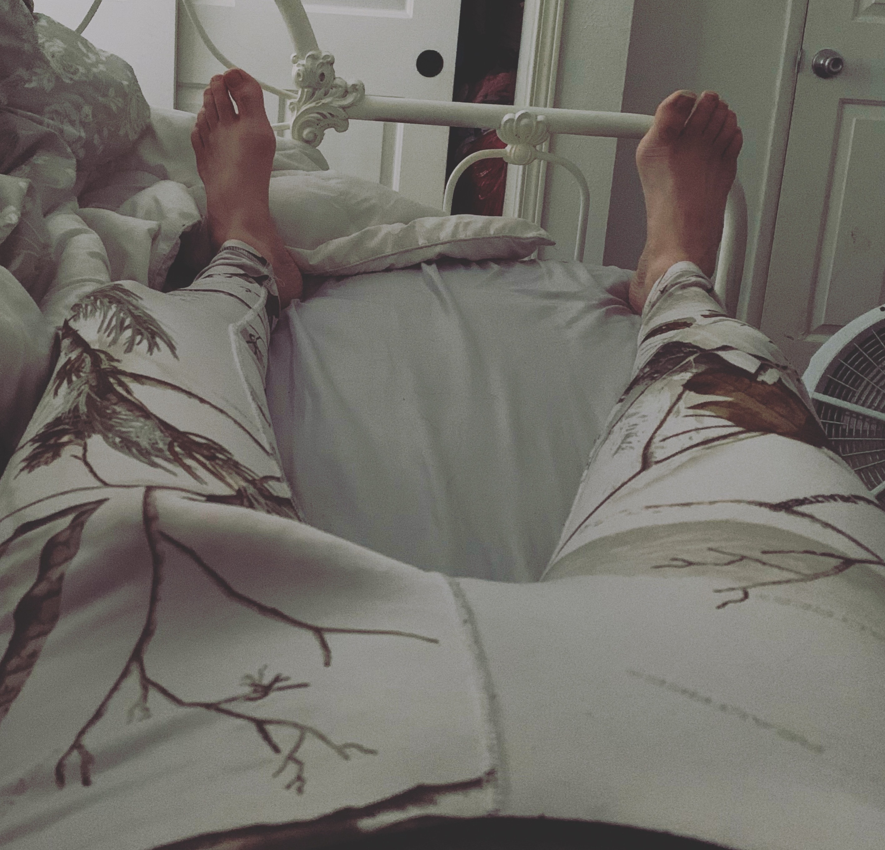 Wyatt North OnlyFans