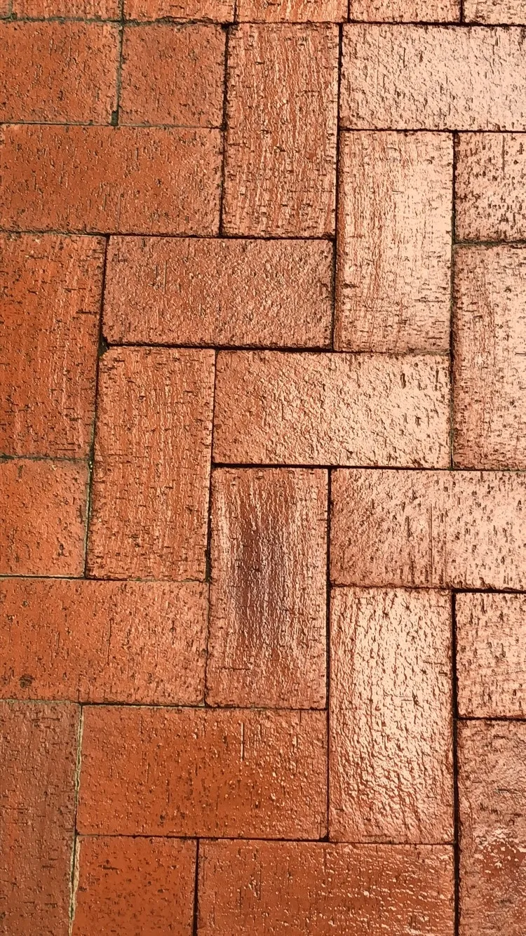 Wyatt Mills OnlyFans header