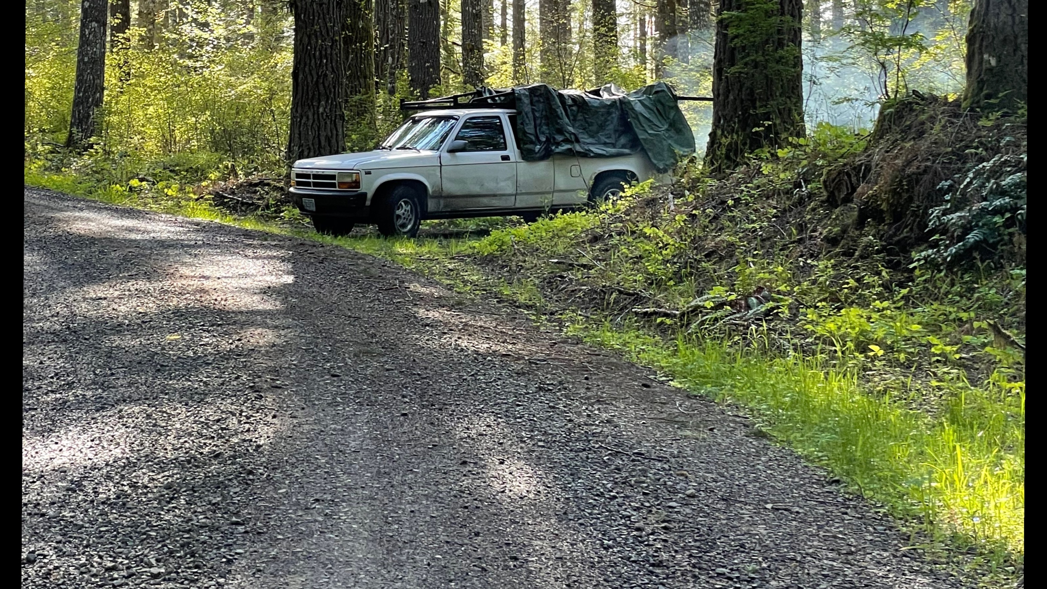 Wyatt Stone OnlyFans header