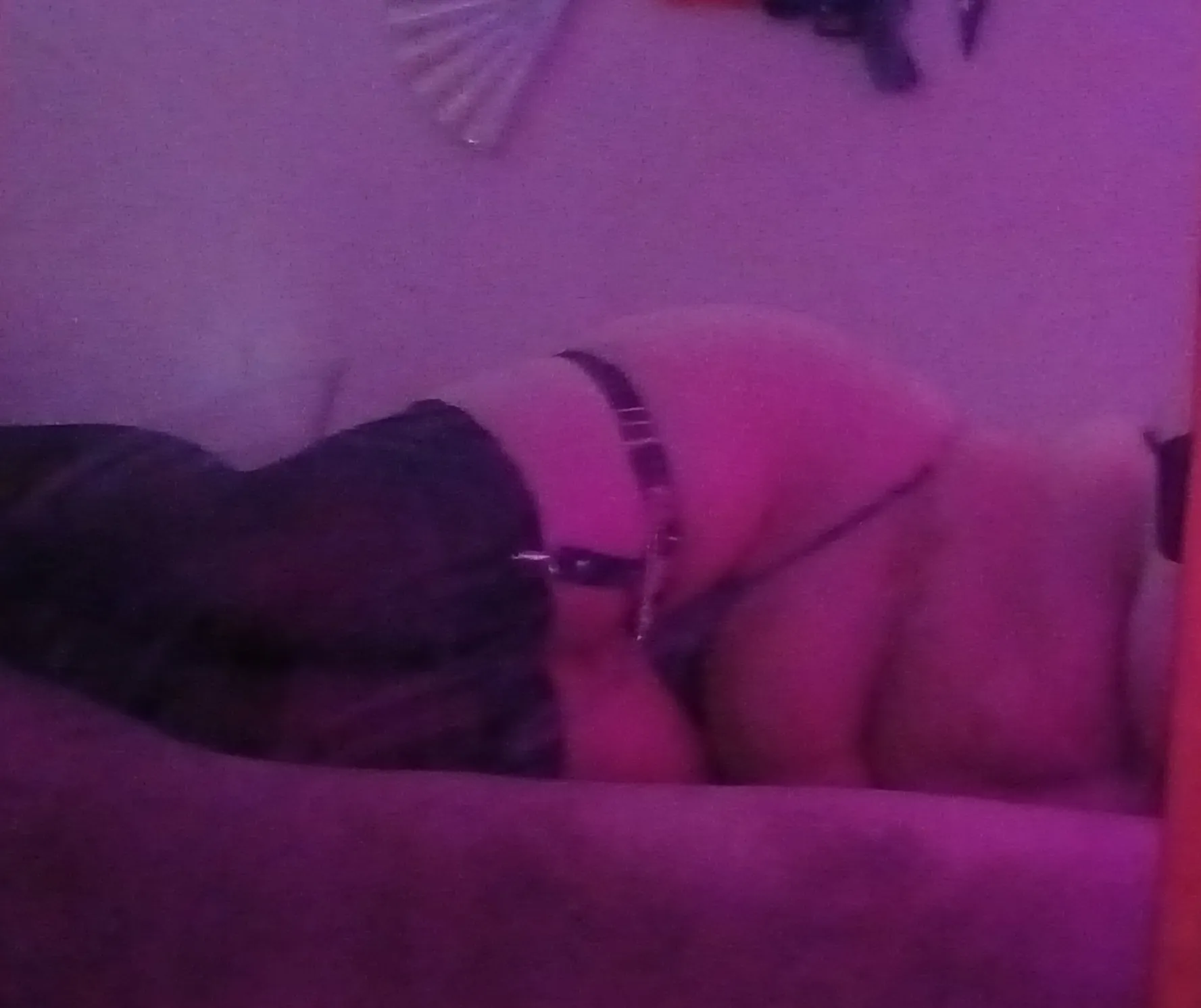 Wendy Yeravich OnlyFans header