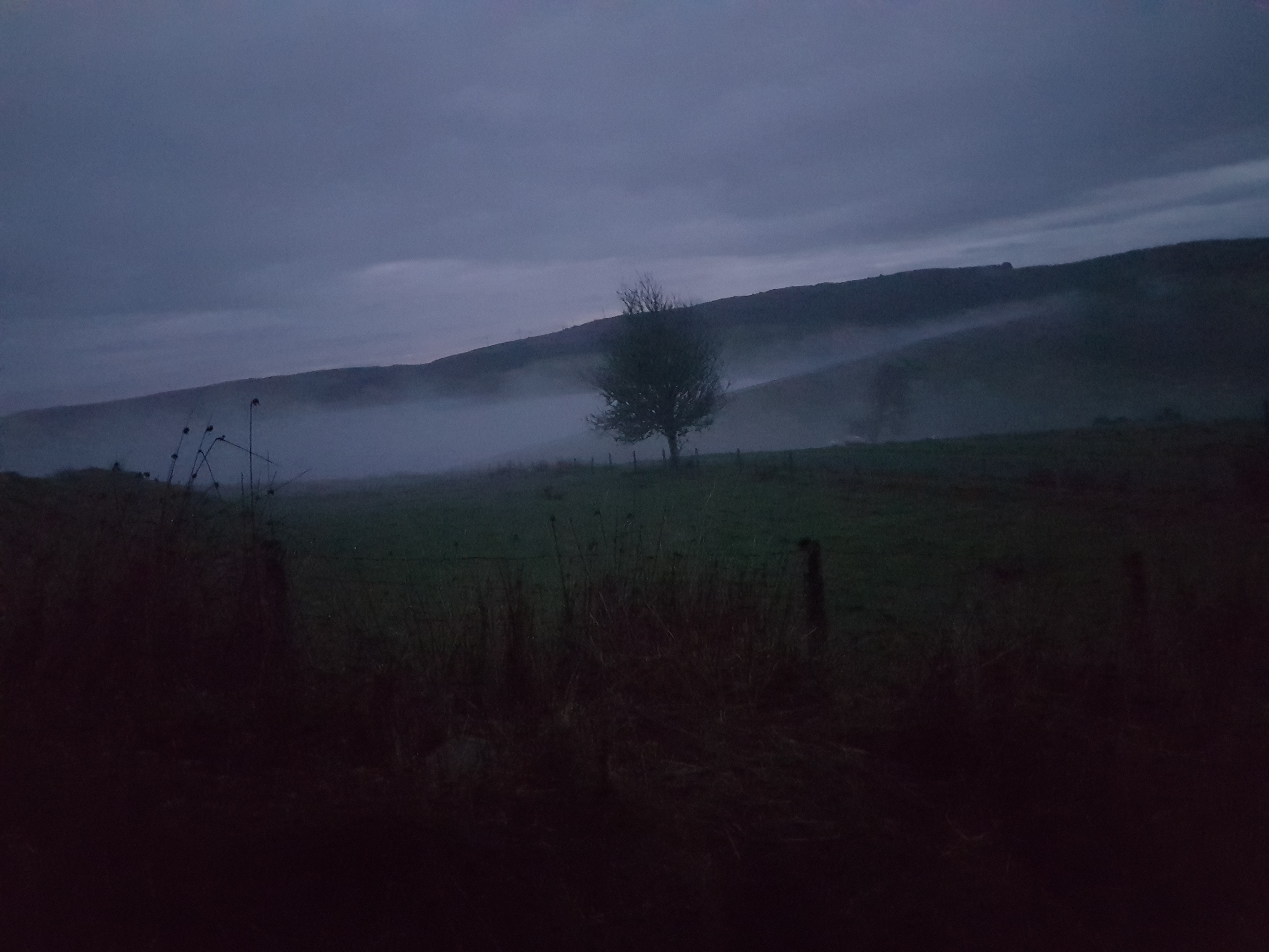 WyldeB OnlyFans header