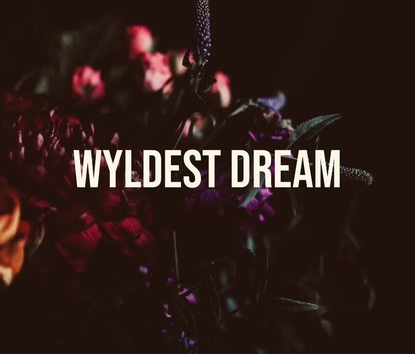 Wyler OnlyFans header