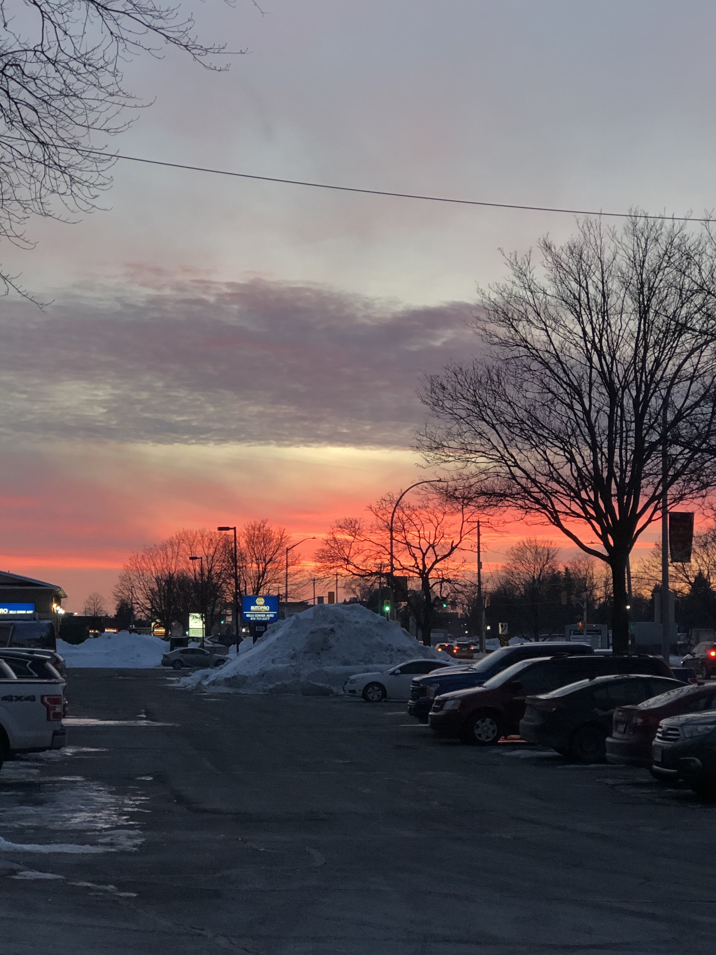 Wynnie OnlyFans header