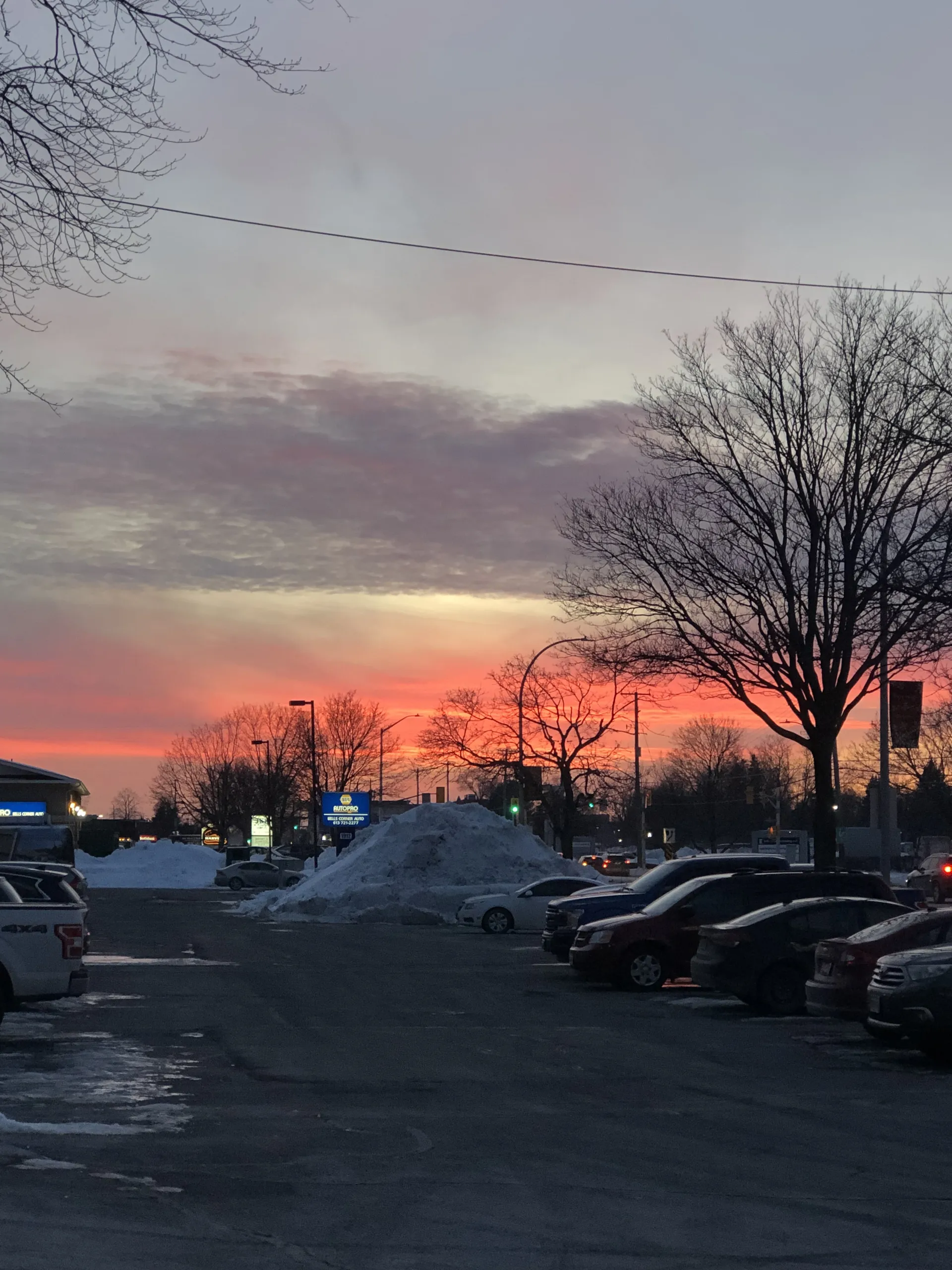 Wynnie OnlyFans header