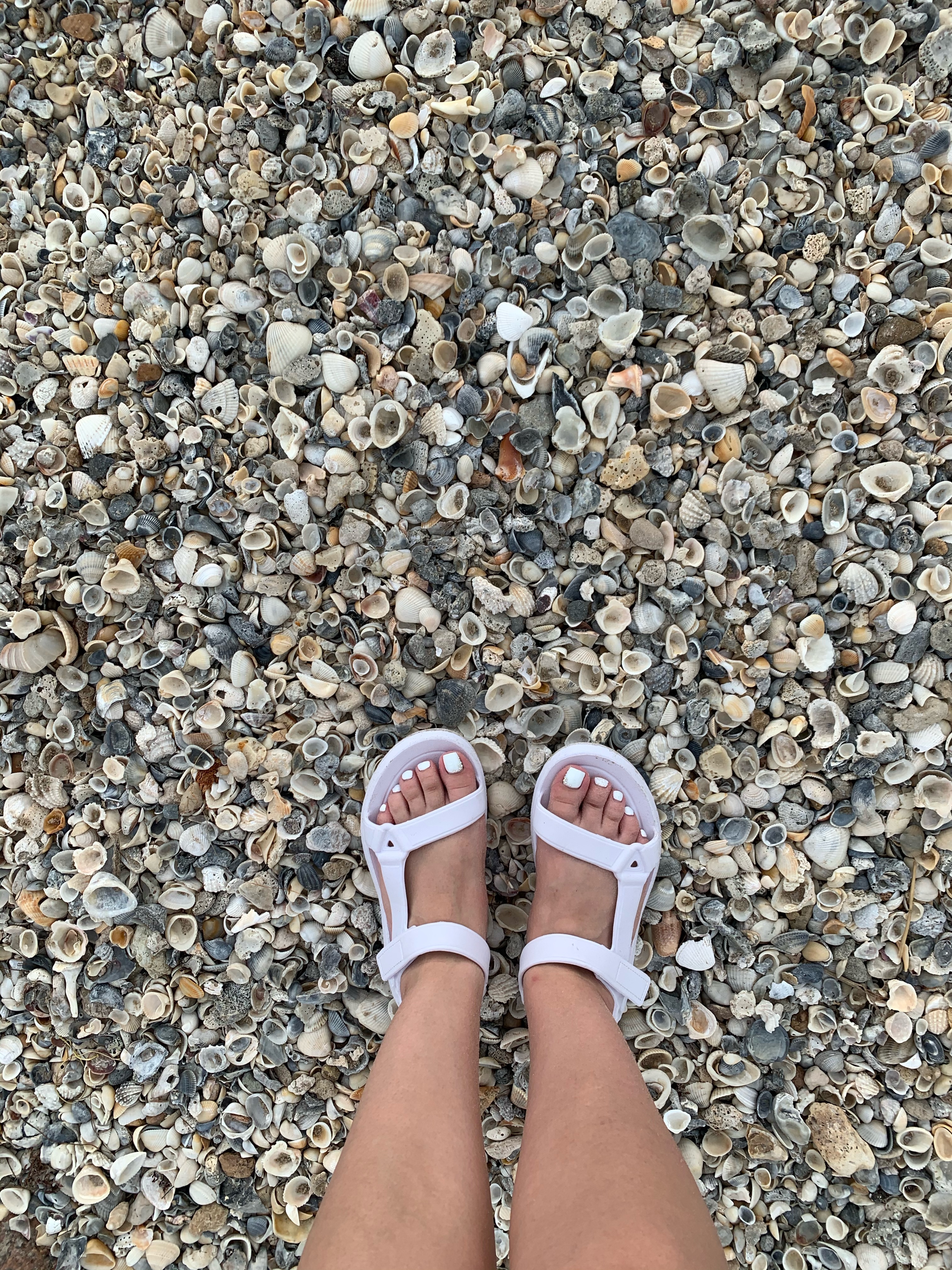 Wynonna LaMonter OnlyFans header