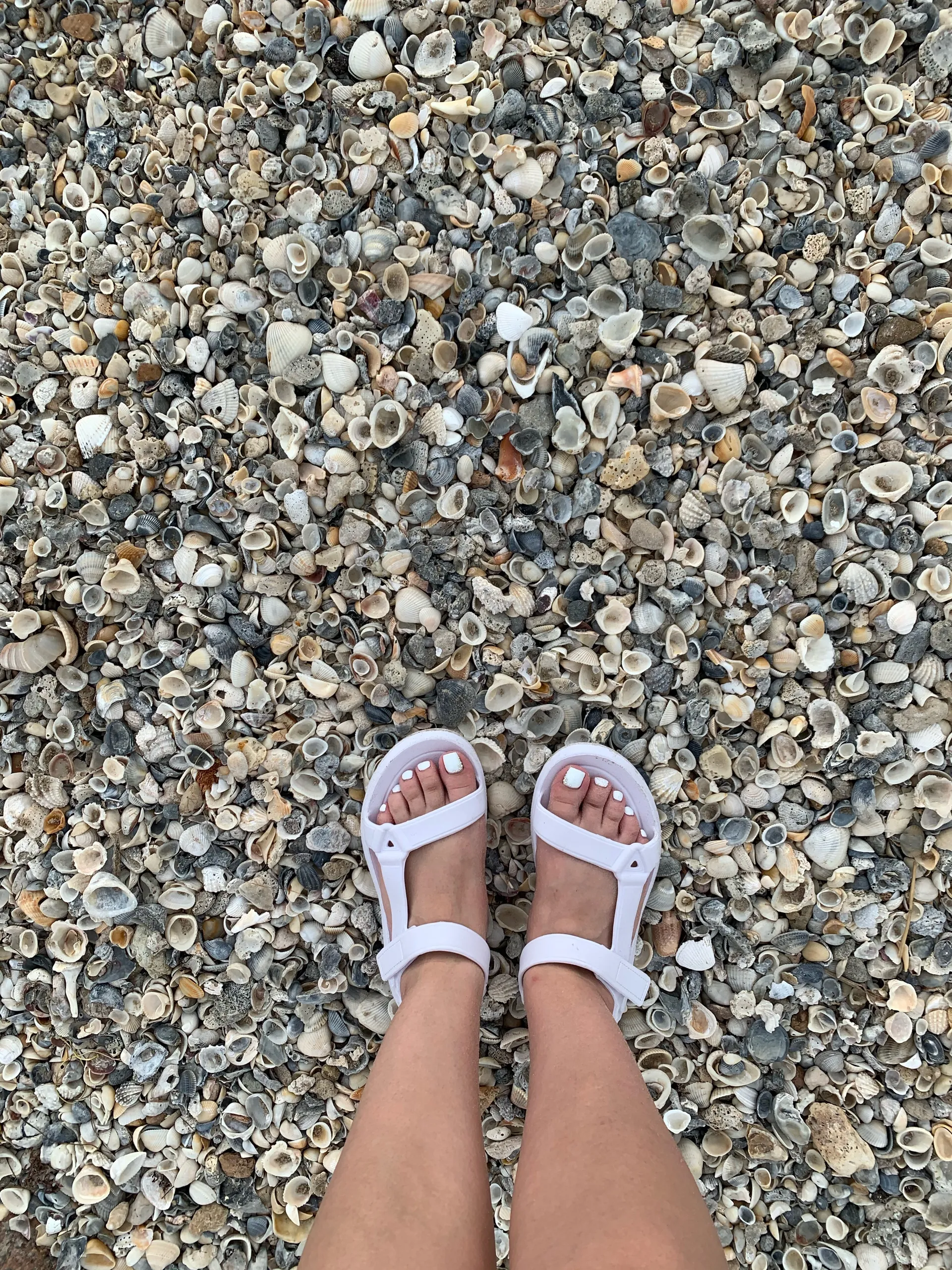 Wynonna LaMonter OnlyFans header