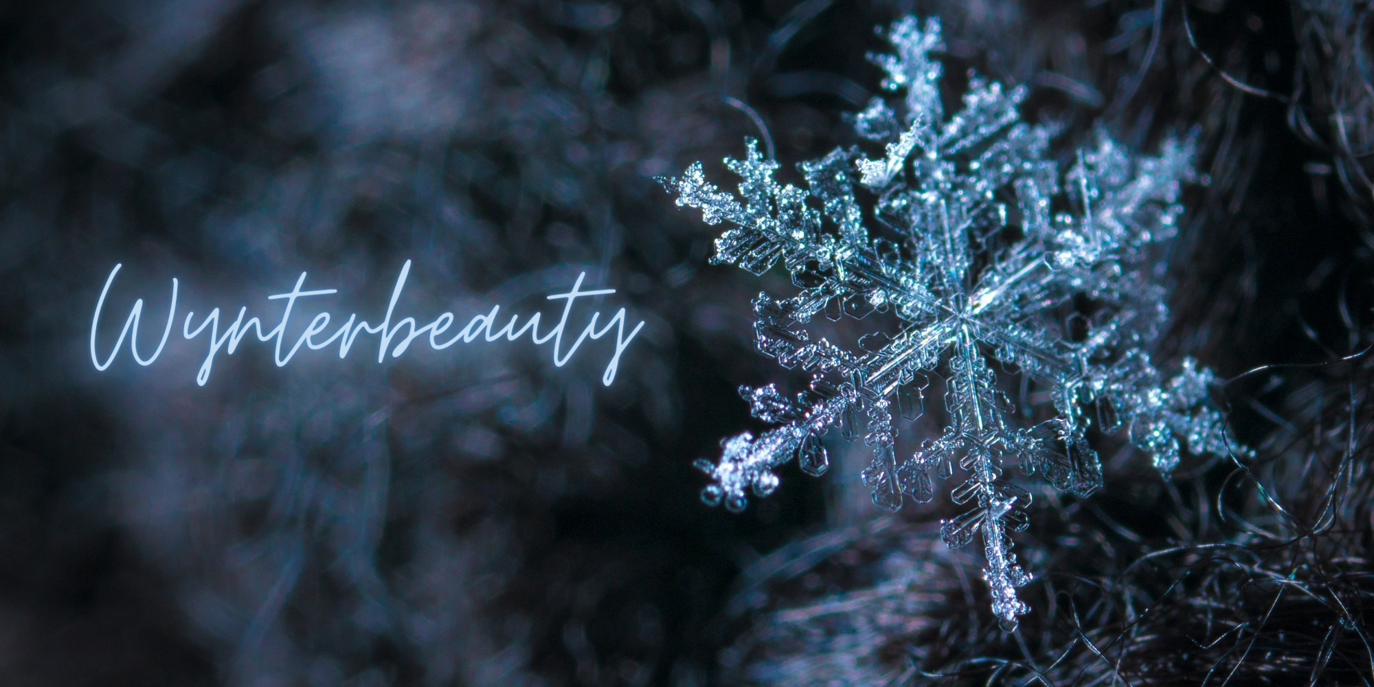 🥀 OnlyFans header