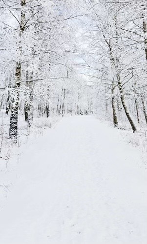 Wynter Love OnlyFans header