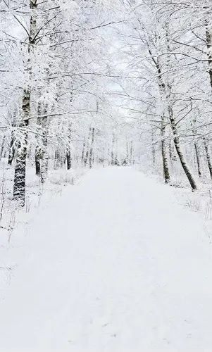 Wynter Love OnlyFans header