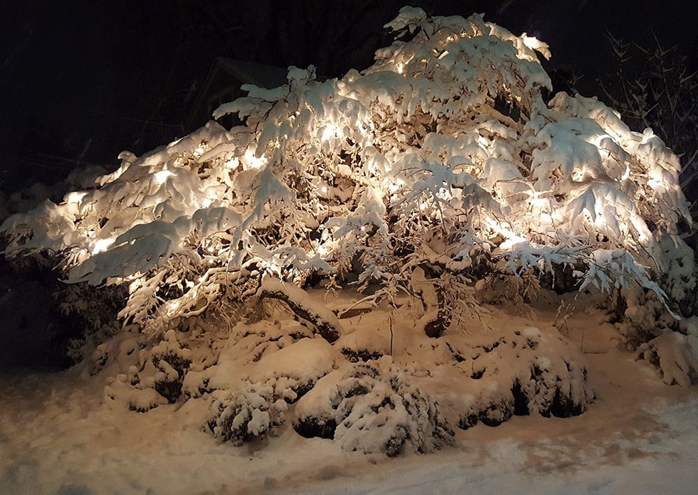 Goddess Mystress - Wynter Roulette OnlyFans header