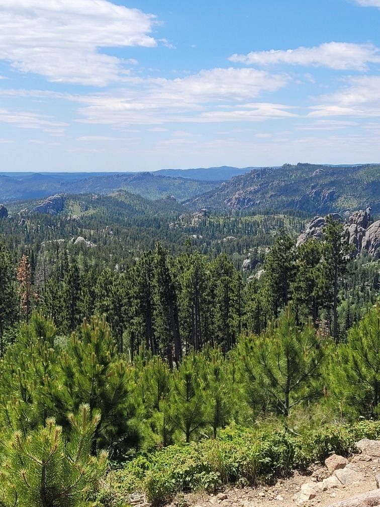 Wyo_beauty OnlyFans header