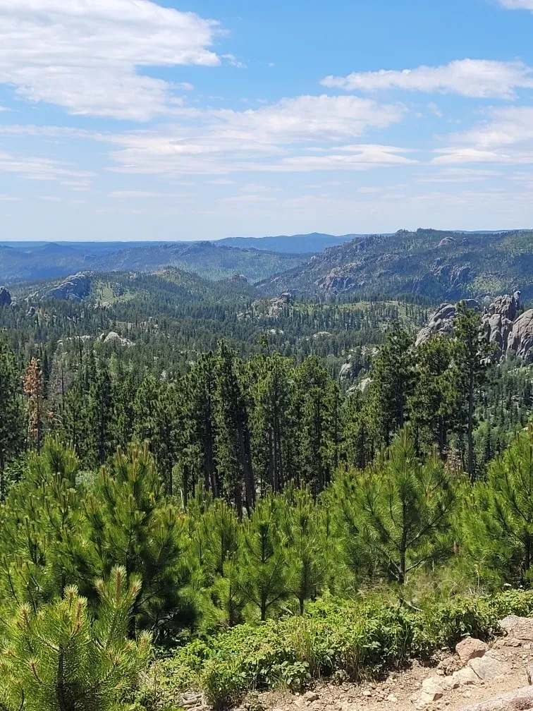 Wyo_beauty OnlyFans header