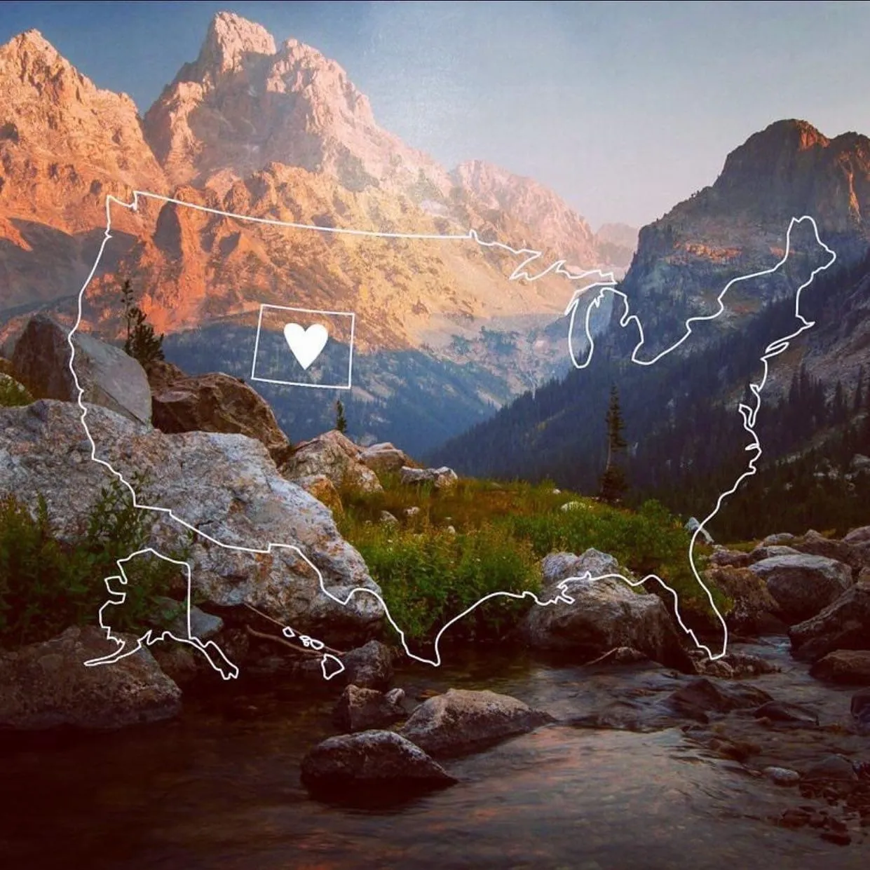 🖤💜🖤💜 OnlyFans header