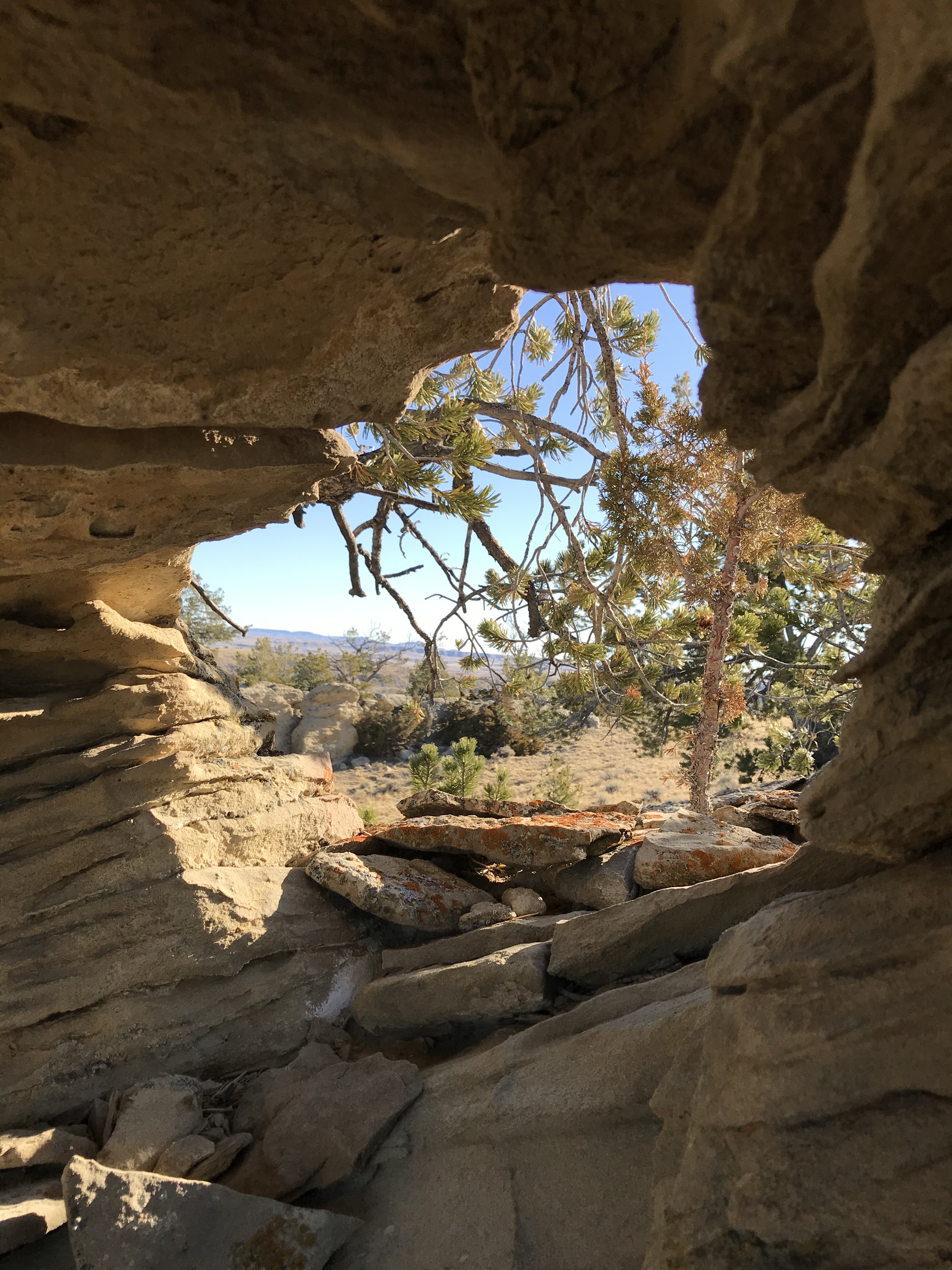 WyoGuy OnlyFans header