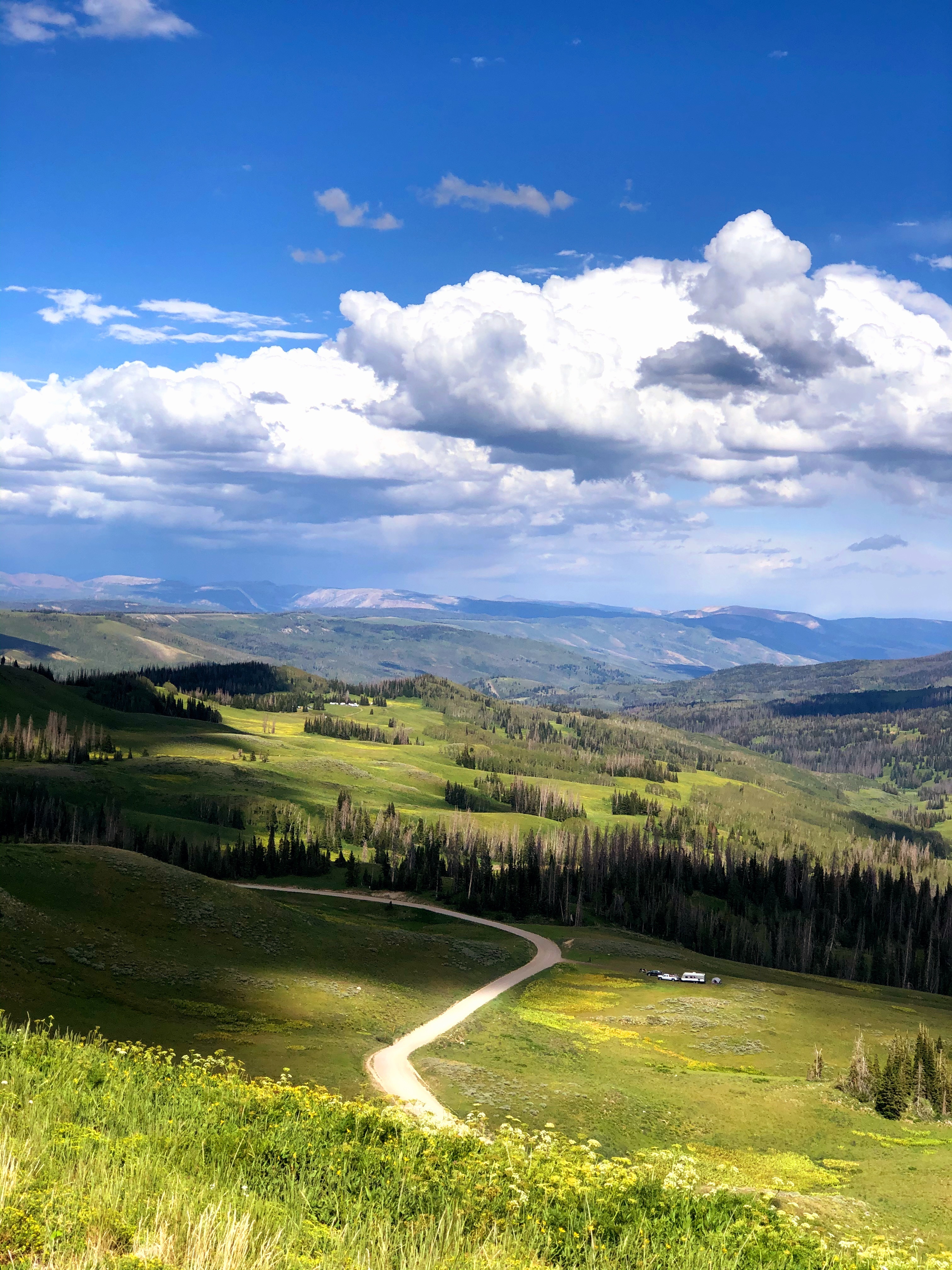 Trista Mills OnlyFans header