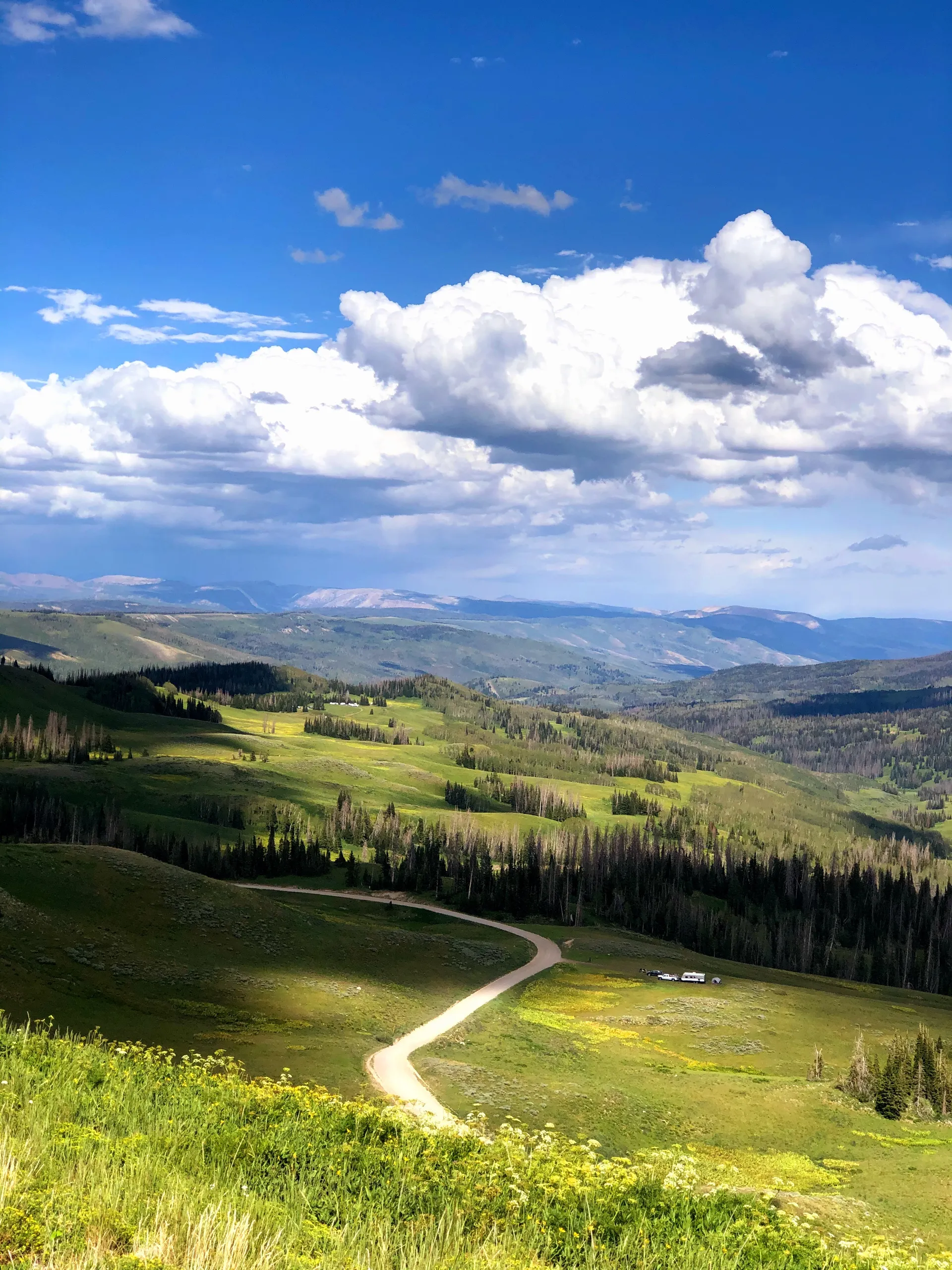 Trista Mills OnlyFans header