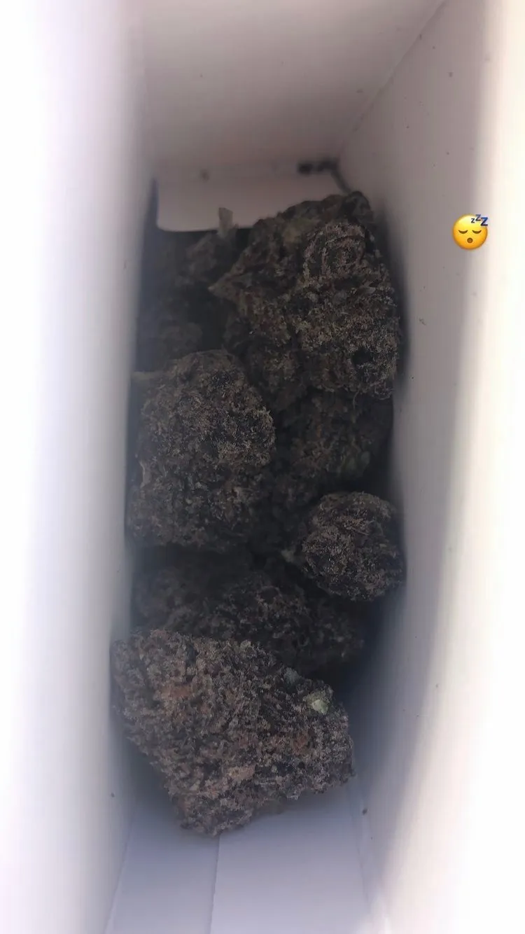 sugar OnlyFans header