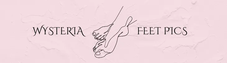 Wysteria Feet 🌸👣 OnlyFans header