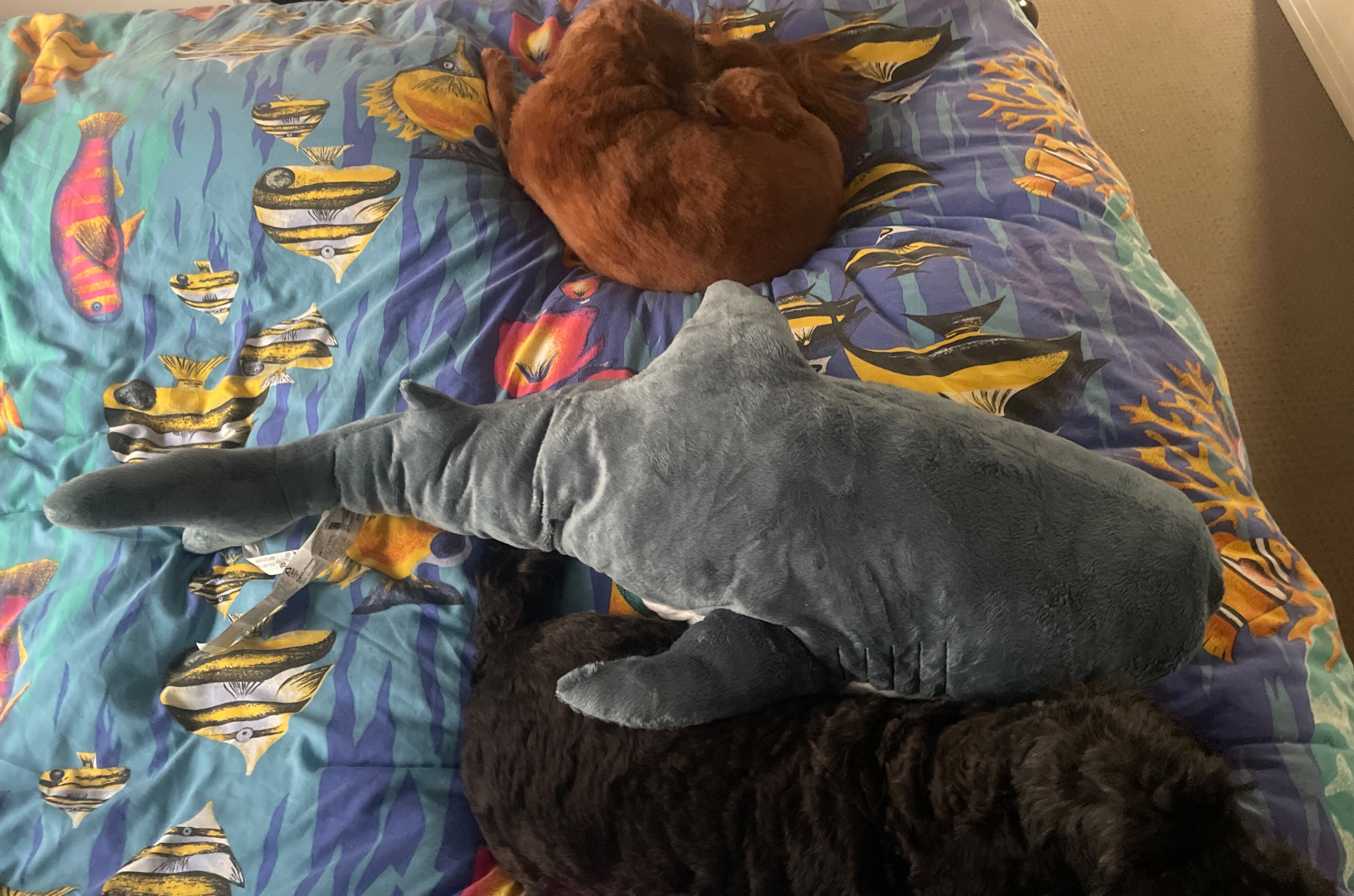 Wyvern Eyes OnlyFans header