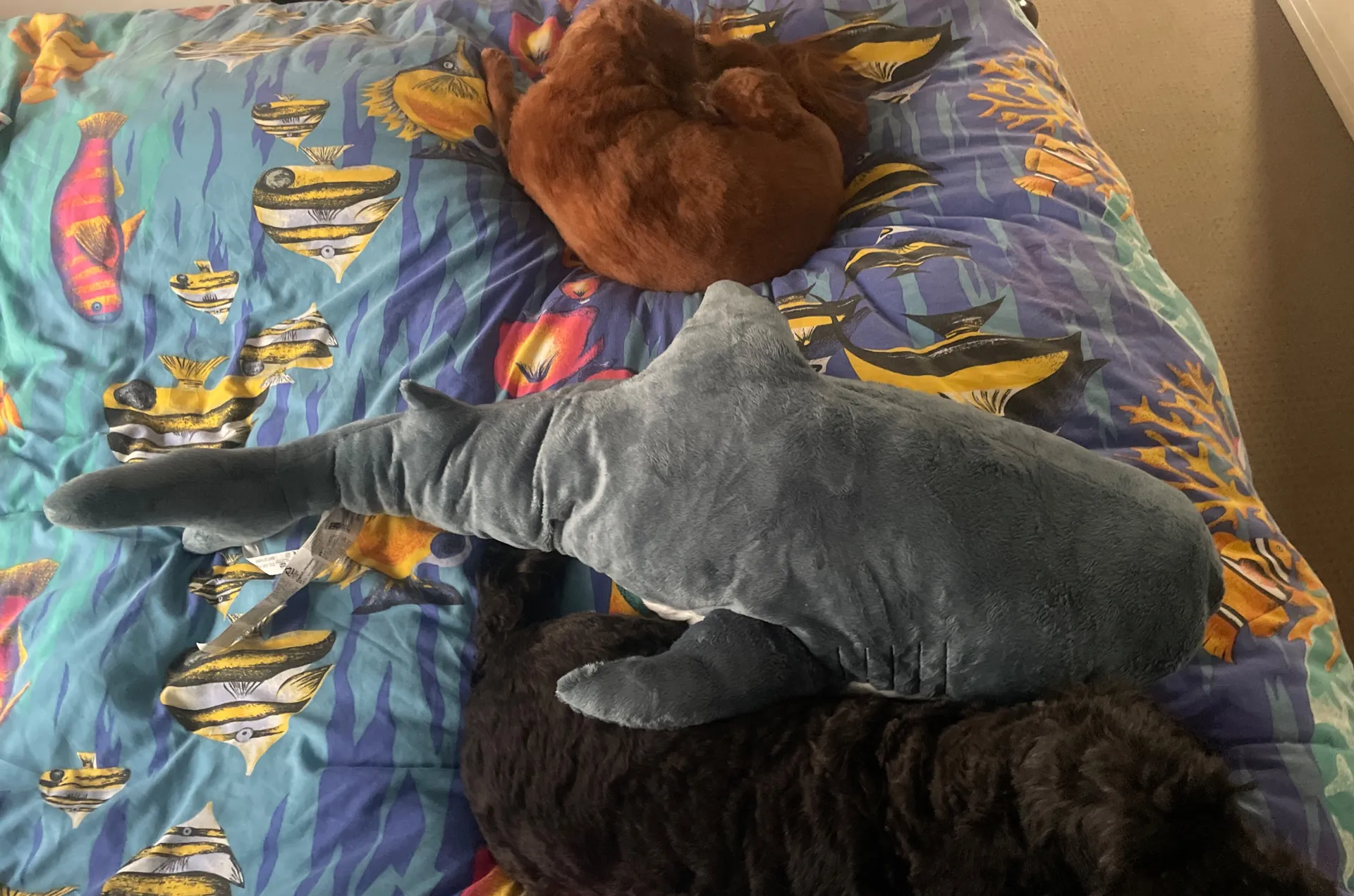 Wyvern Eyes OnlyFans header