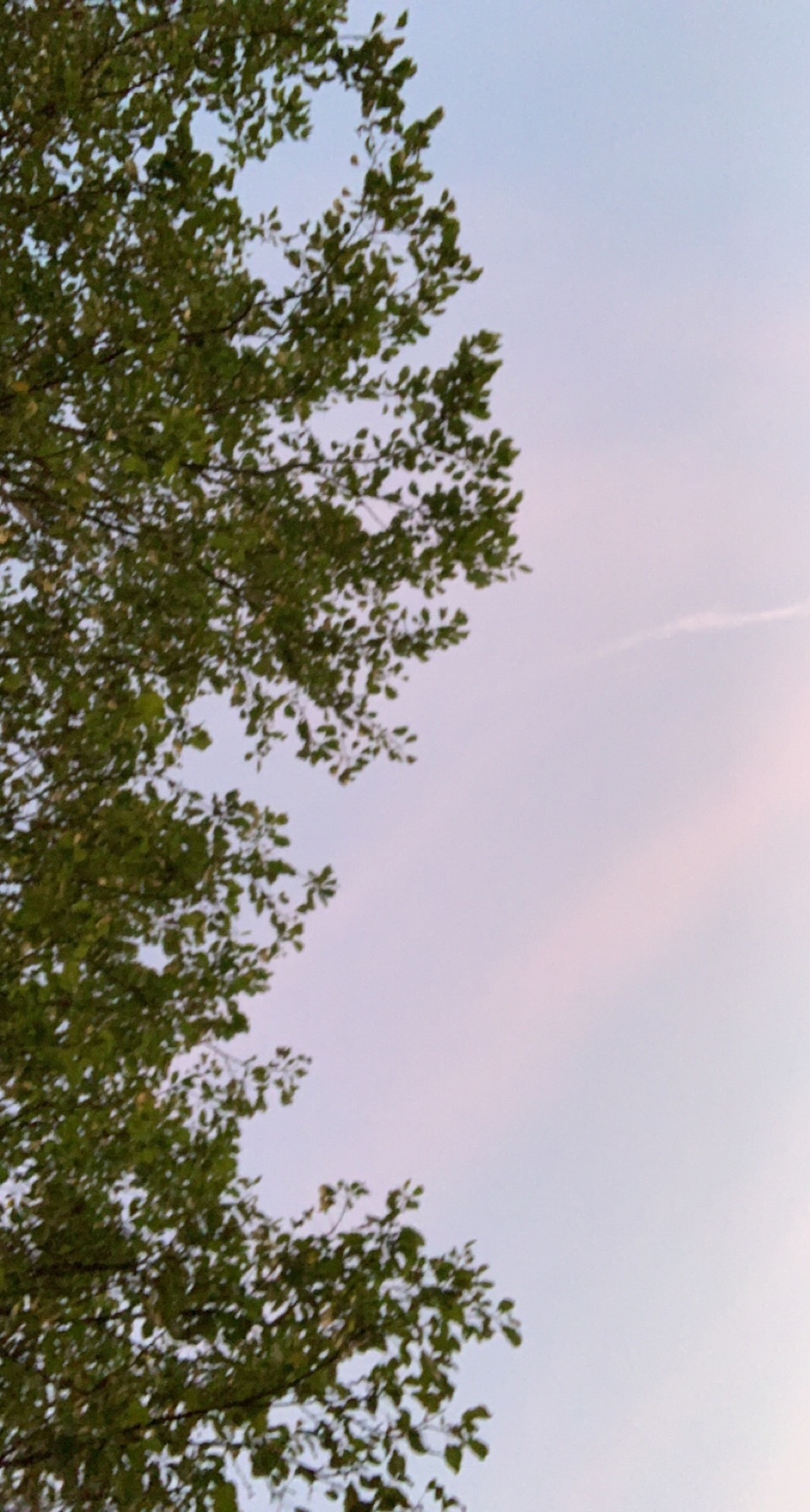 Wzrd OnlyFans header