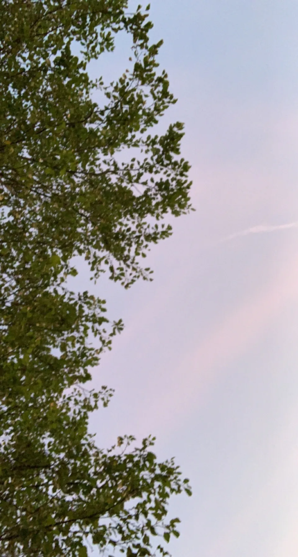 Wzrd OnlyFans header