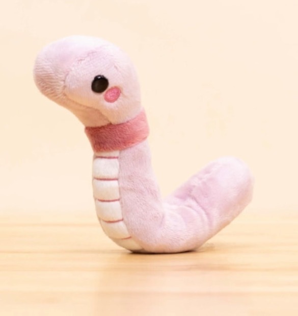 Baby Bunny 🌸 OnlyFans