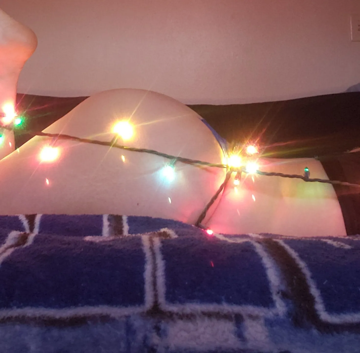 FREExBabyxGirlx97 OnlyFans header