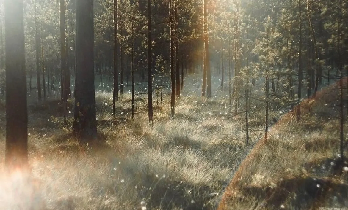 Bambi OnlyFans header