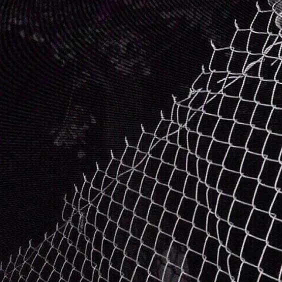 Bby420 OnlyFans header