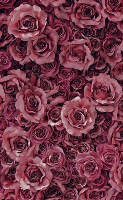 Brittany OnlyFans header