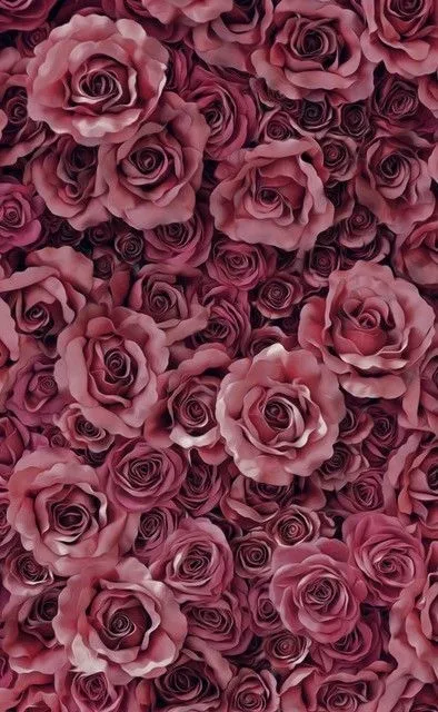 Brittany OnlyFans header