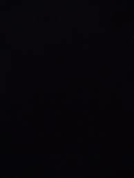 Bella OnlyFans header