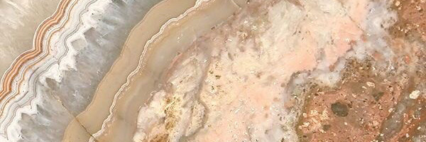 Bella - Rhi 🌹 x OnlyFans header