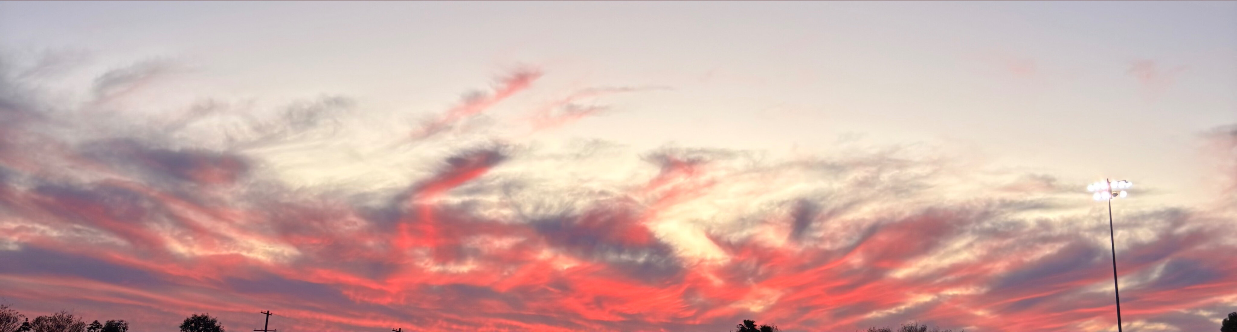 Big Booty Judy OnlyFans header