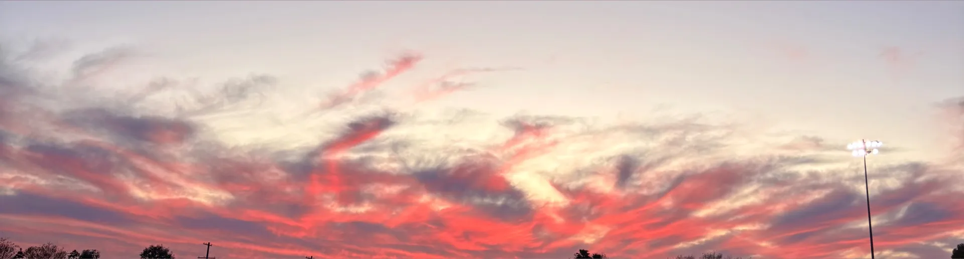 Big Booty Judy OnlyFans header