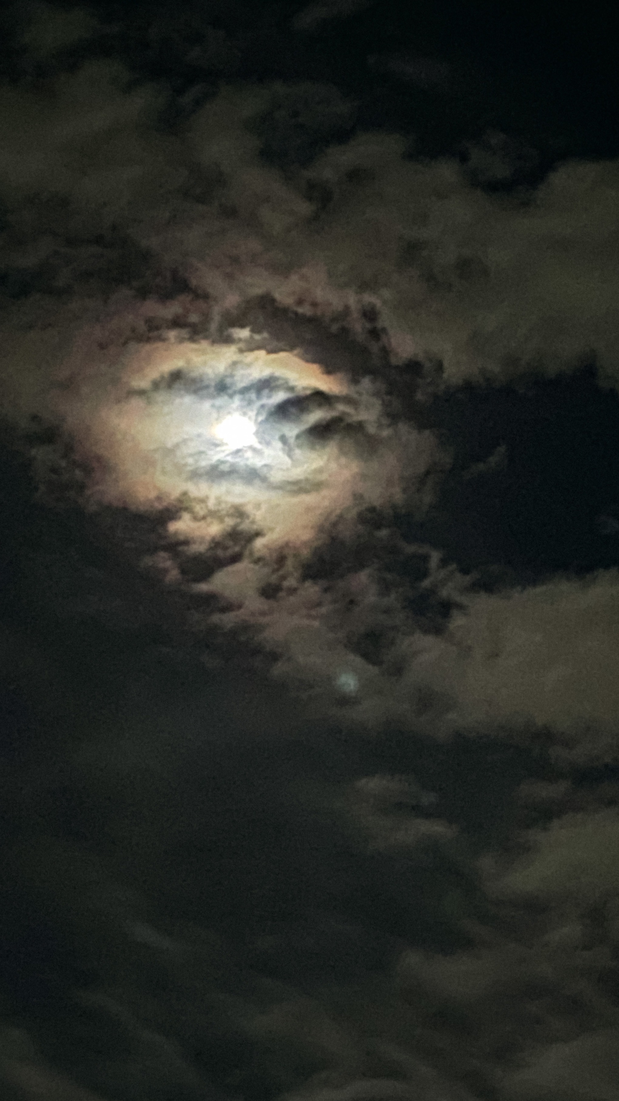 BlackMermaid OnlyFans header