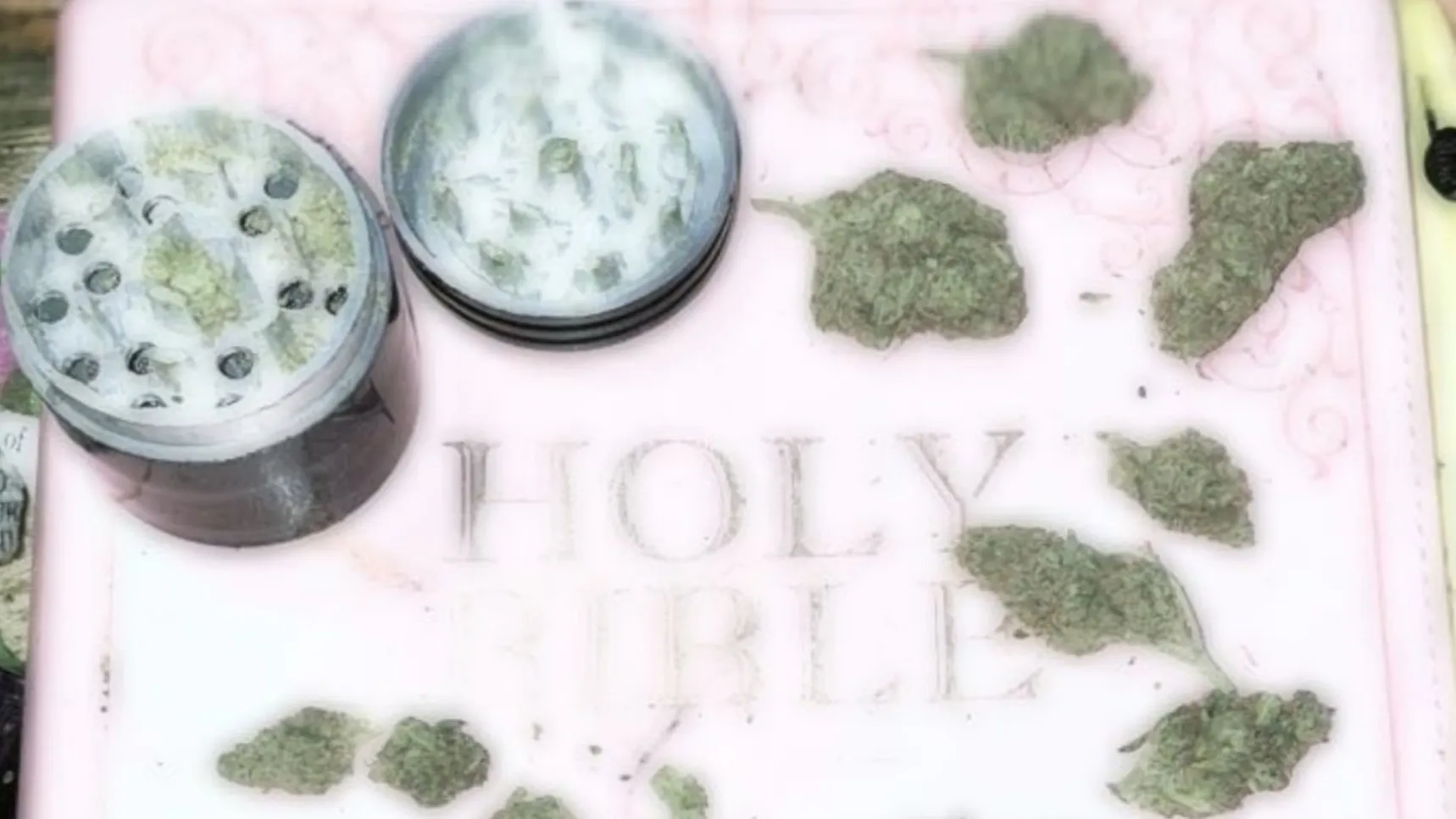 B u n n y OnlyFans header